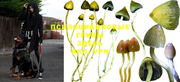 герыч Горняк