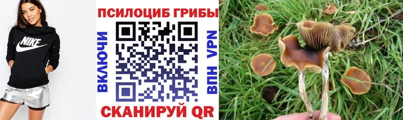 Псилоцибиновые грибы мухоморы  Дивногорск 