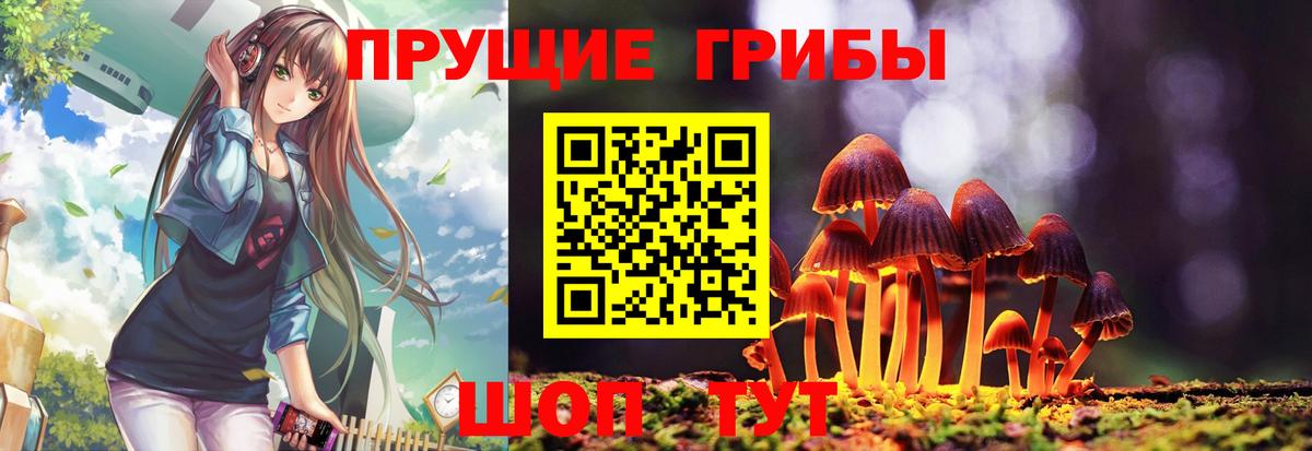 Галлюциногенные грибы Psilocybine cubensis  Дивногорск 