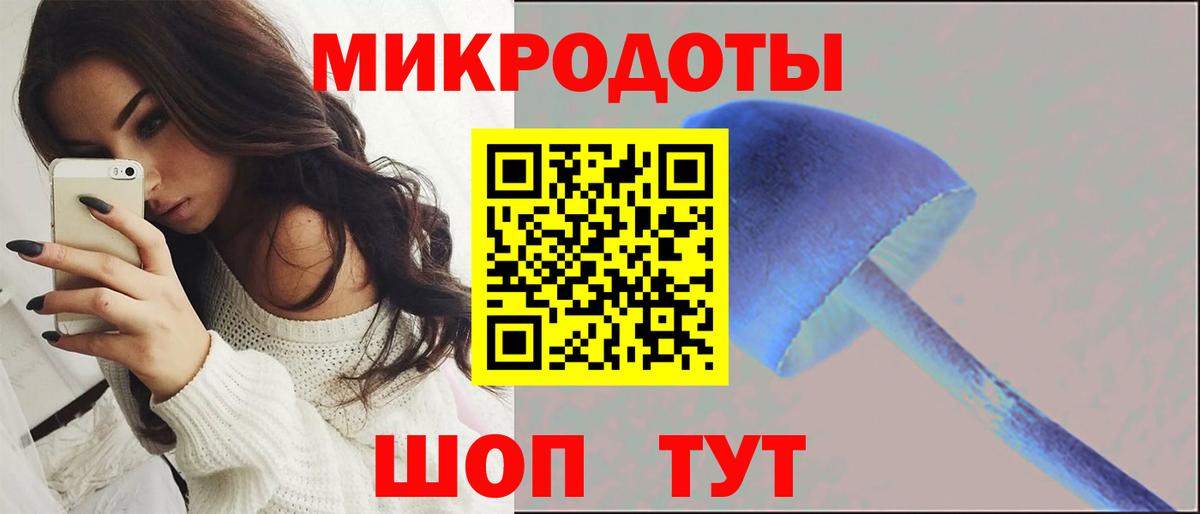 Галлюциногенные грибы Psilocybine cubensis  Вход с VPN  Дивногорск 