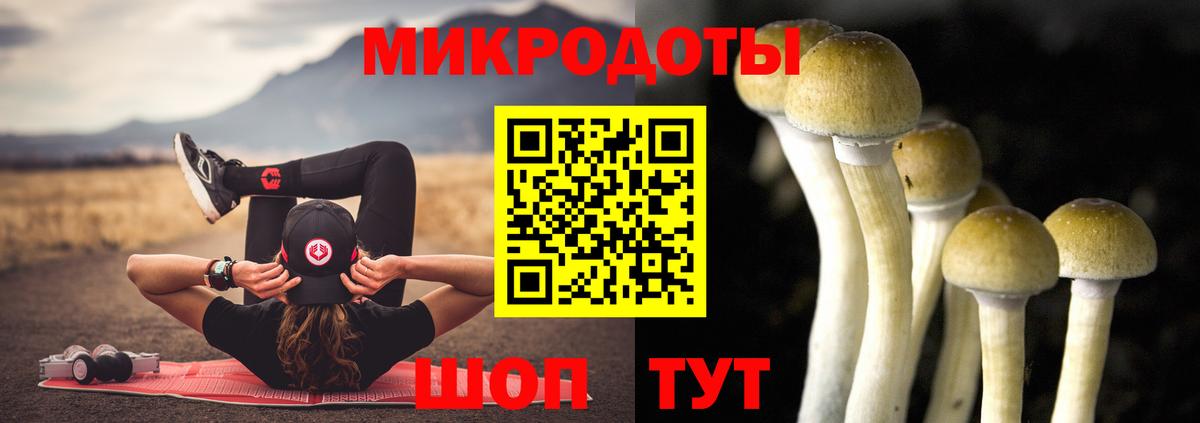 МЕТАДОН Дивногорск