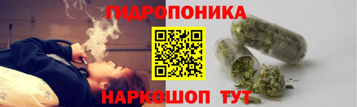 Бошки Шишки LSD WEED  Конопля конопля  Каннабис LSD WEED  Дивногорск  Бошки марихуана планчик 
