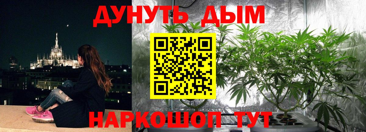 Бошки марихуана конопля Дивногорск